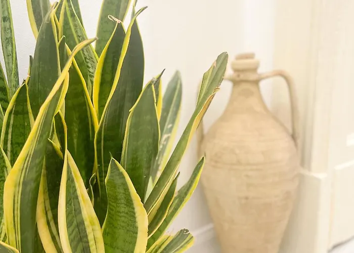 Frühstückspension Flame 4*